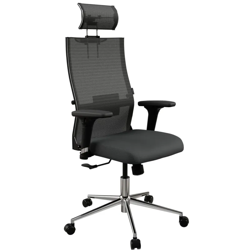 Кресло руководителя Ergolife SynchroSit Air 24/7 B2-287D - Italy+UMF(X1) главное фото
